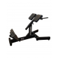 BANCO EXTENSOR LOMBAR - ROCKFIT 